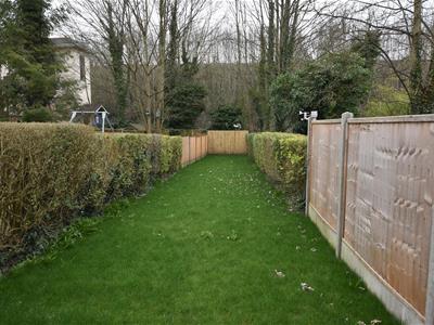 Picture 11